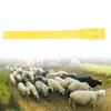 10Pcs Goat Collar Sheep Identification Bands Livestock  ing   Farming Equipment