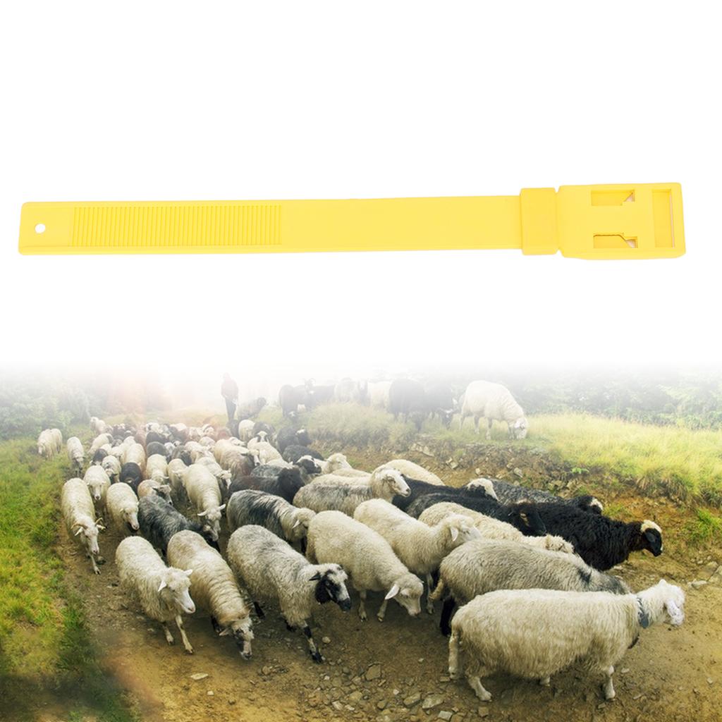 10Pcs Goat Collar Sheep Identification Bands Livestock ing Farming Equipment