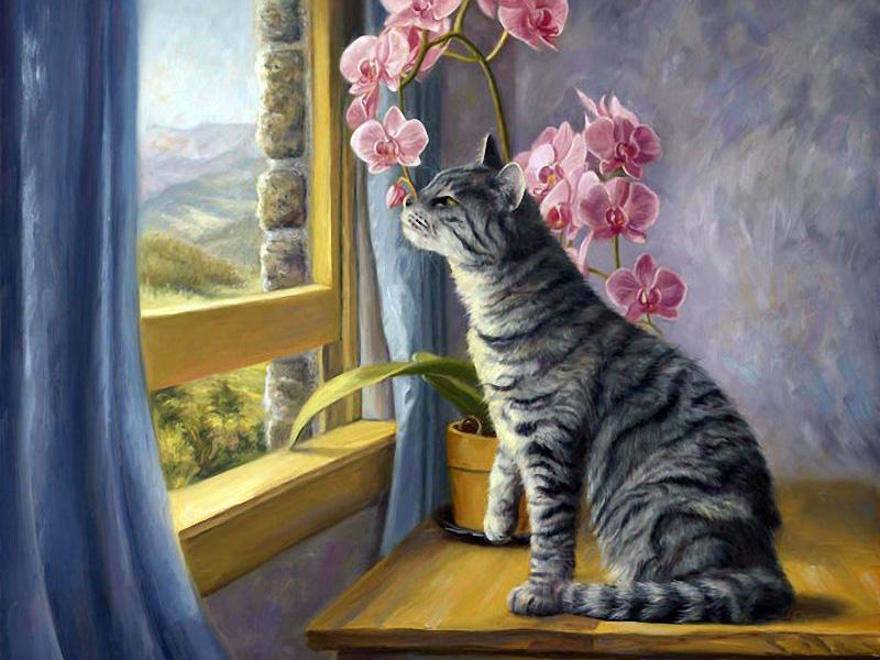 Diamond Mosaic Cat Full Drill Square Diamond Painting Animal Cross Stitch Embroidery Window Picture Rhinestones Wall Art