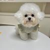 Bow Floral Sleeveless Vest Dog Cat Clothes Summer Thin Pet Outfit Teddy Small Animal Wear Dog Clothes Pet Clothes Dog Costume