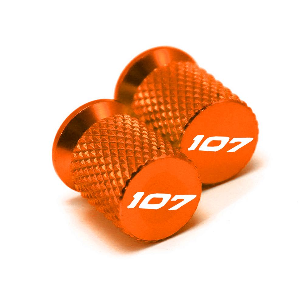 For Harley Softail Fat Bob Road King Street Bob Breakout FLFB FLFBS Motorcycle Accessories CNC Tire Valve Stem Caps Cover Plugs