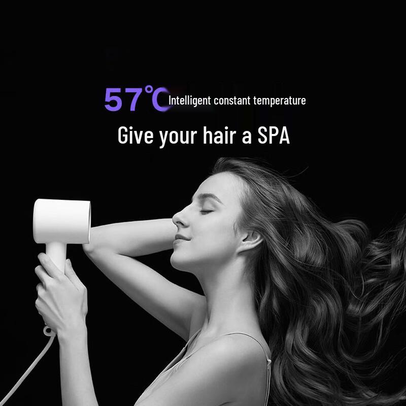 Xiaomi Mijia H300 Negative Ion Hair Dryer CN Plug (adapter Included)