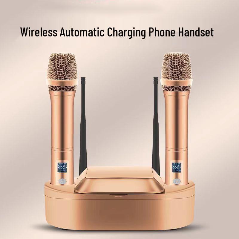 

Wireless Smart Charging U-Band FM KTV & Speech Microphone золотий