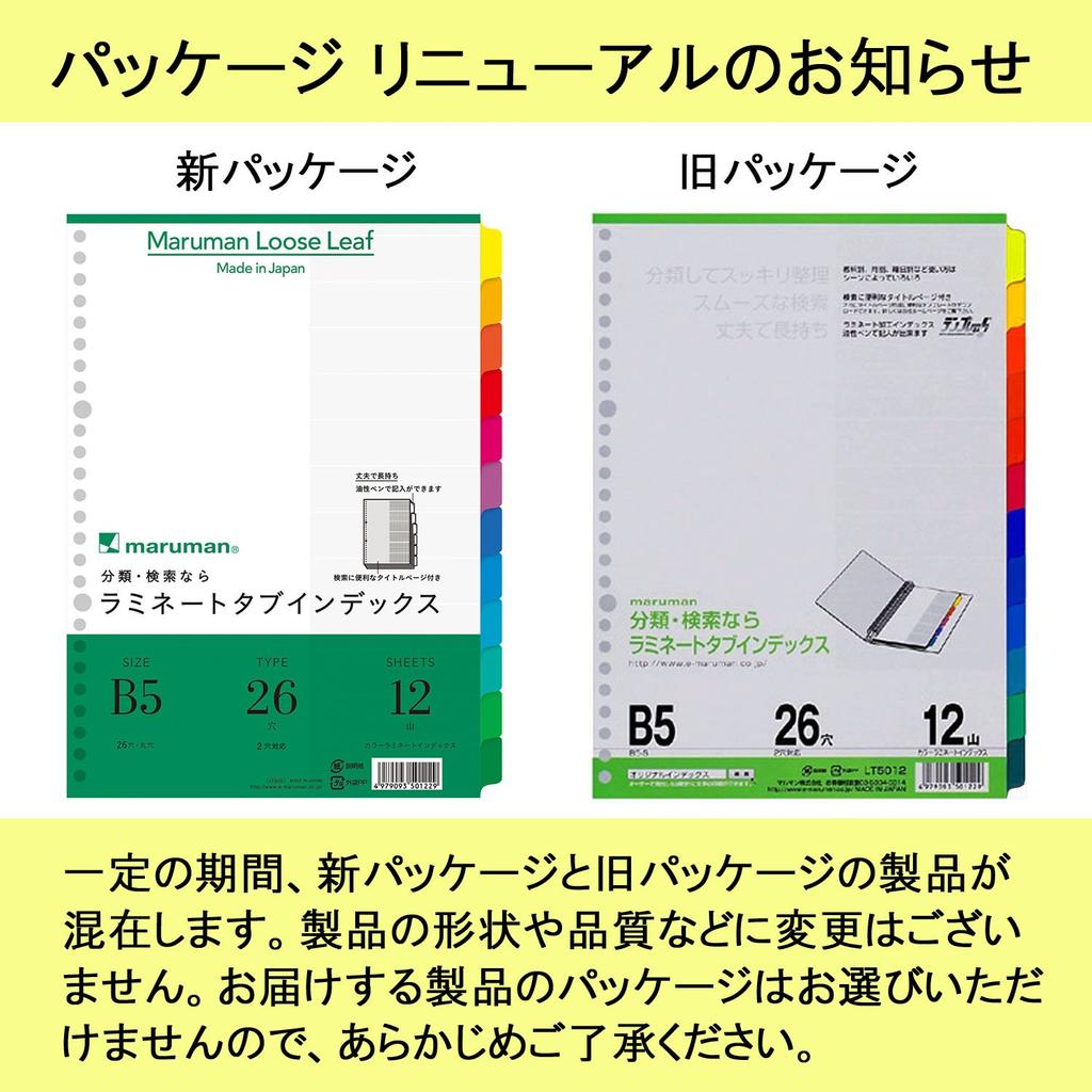 Maruman Index B5 26-Hole (2-Hole Compatible) Index Sheets, 12 Tabs, 10 Sheets per Set, LT5012