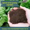 Organic Potting Soil with Fertilizer for Vegetables, Fruits, Flowers, Succulents, and Pothos