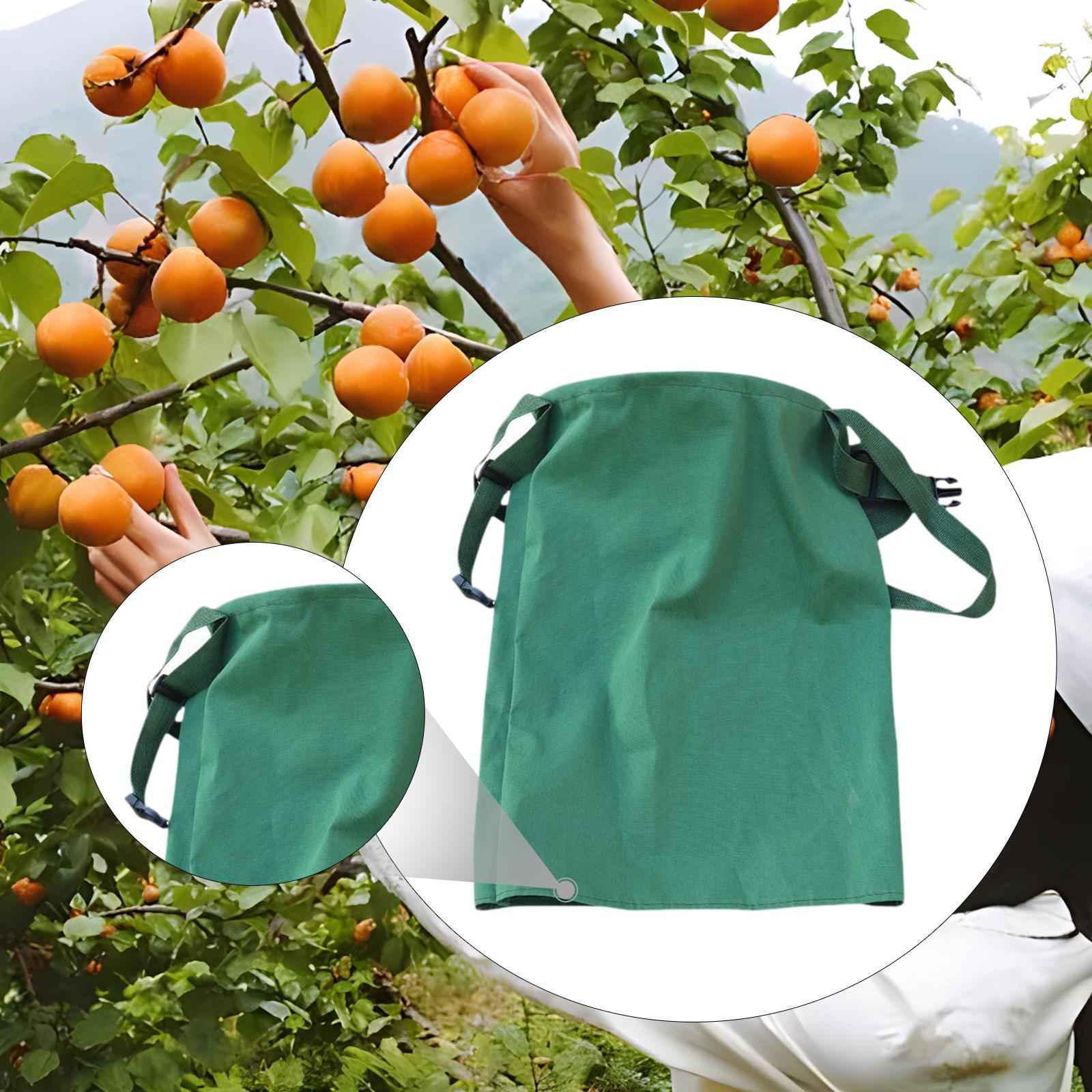 Picking Bag and Adjustable Strap, Vegetable Foraging for Fruits Harvest S