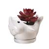 Creative New Succulent Flower Pot Ceramic, Gardening Cartoon Dolphin Animal Flower Pot