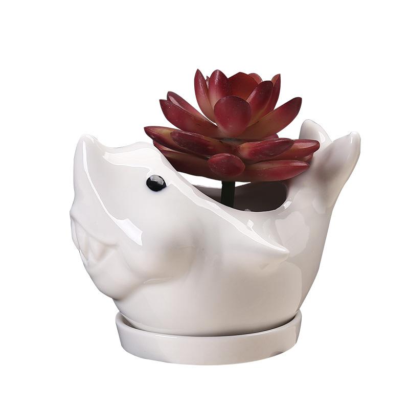 Creative New Succulent Flower Pot Ceramic, Gardening Cartoon Dolphin Animal Flower Pot