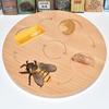 Montessori Plant & Animal Life Cycle Educational Toy Set for Early Learning
