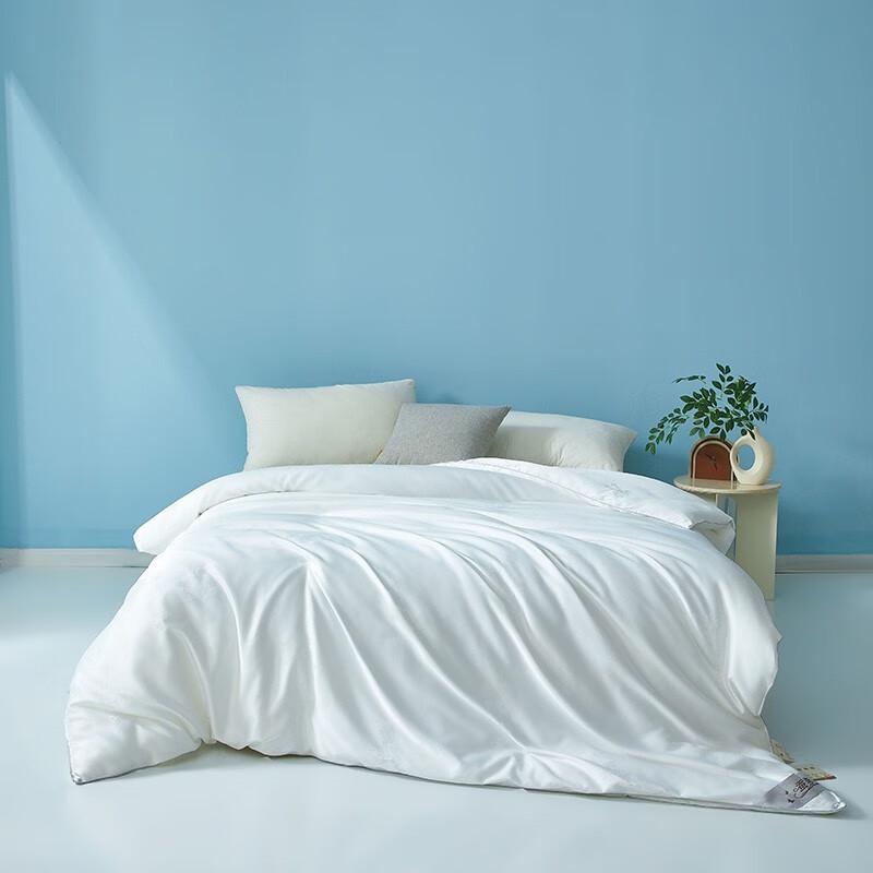 

Oudianmengna Jacquard Mulberry Silk Quilt