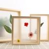 Family Wedding Decor Vintage Art Plant Specimen Wooden Picture Holder Photo Frame