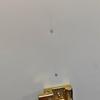 [Pre-Owned] Sylvie Gold Buckle Striped Web Satin Bow Wide Shoulder Strap Leather Handbag - Very Good #SLR7VW