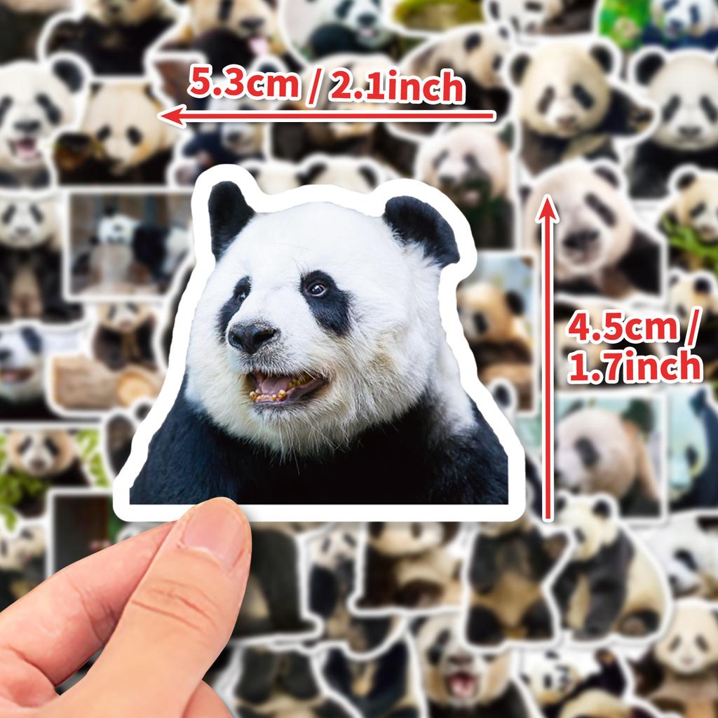 50 Panda Realistic Stickers Cute Giant Panda Flower Emoji Stickers Computer Mobile Phone Water Cup Stickers