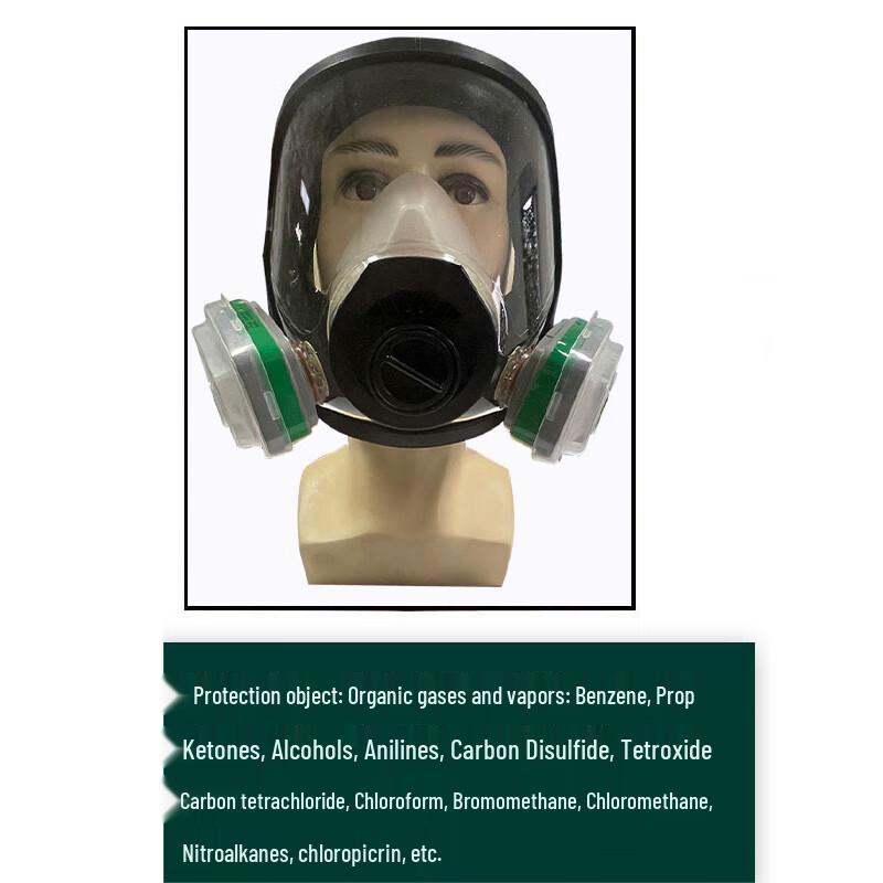 Longzhan Full Face Respirator Mask