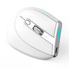 ZELOTES F-36 Drahtlose vertikale 2,4-G-Bluetooth-Maus, Vollfarblicht, 8 Tasten, Programmierung mit fünf DPI