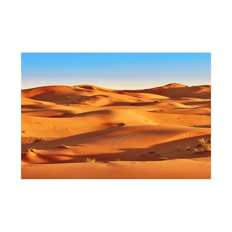 Desert Series Photography Background Natural Scenery Backdrop Photo Backdrop Studio Supplies Props Home Decor