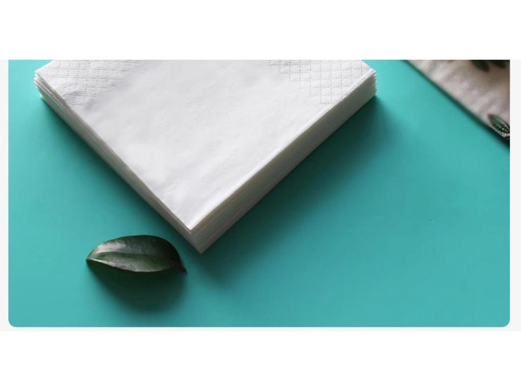 Square Paper Napkins for Catering, Restaurants, Hotels, and Cafes