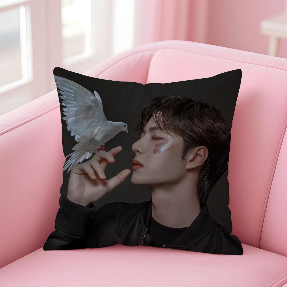 WWang Yibo Cushion Cover Soft Plush Throw Pillow Cushion CoverDoubleSided Printed Pillow Case for Sofa Home Decor