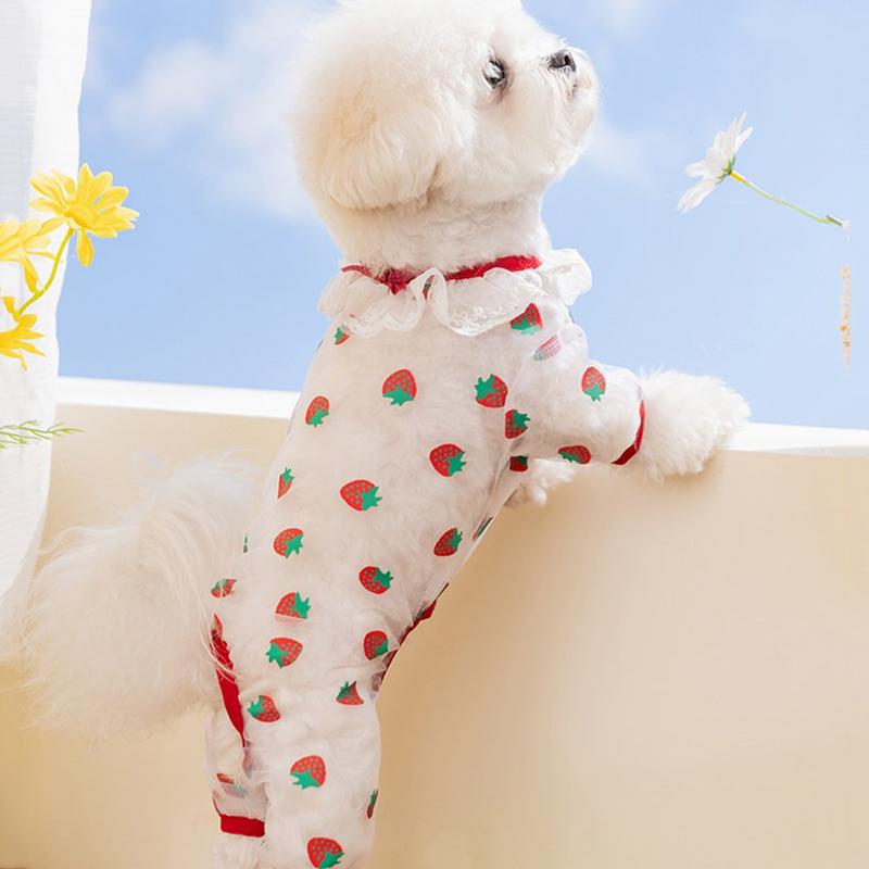 Puppy Insect Proof Jumpsuit Summer Breathable Mesh Dog Clothes Teddy Strawberry Pattern Four Legged Clothing Cuter Bichon Cover