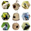 Weaved Birds House 6 Style Birds Nest Pet Bedroom Parrot Breeding Hut  Shelter