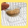 Detachable Parrots Food Cup Transparent Bird Feeder Sturdy Bird Food Dispenser  Pigeons