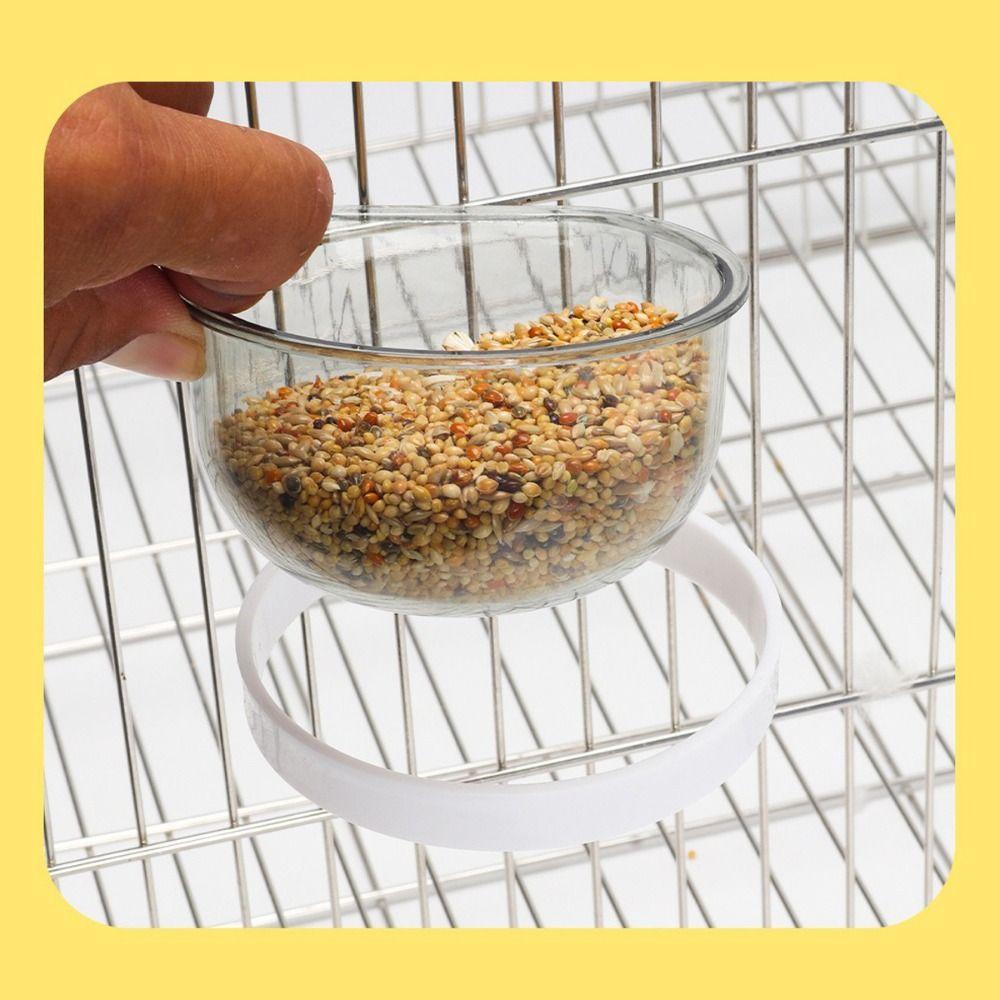 Detachable Parrots Food Cup Transparent Bird Feeder Sturdy Bird Food Dispenser  Pigeons