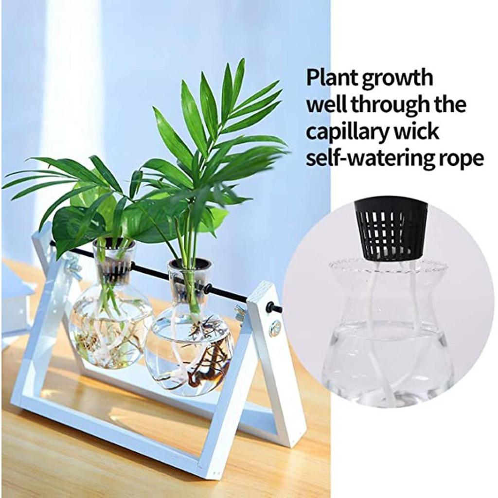 25 Pcs Hydroponics Plant Grow Net Cup Mesh Mesh Pot Basket Planting Cup Plastic