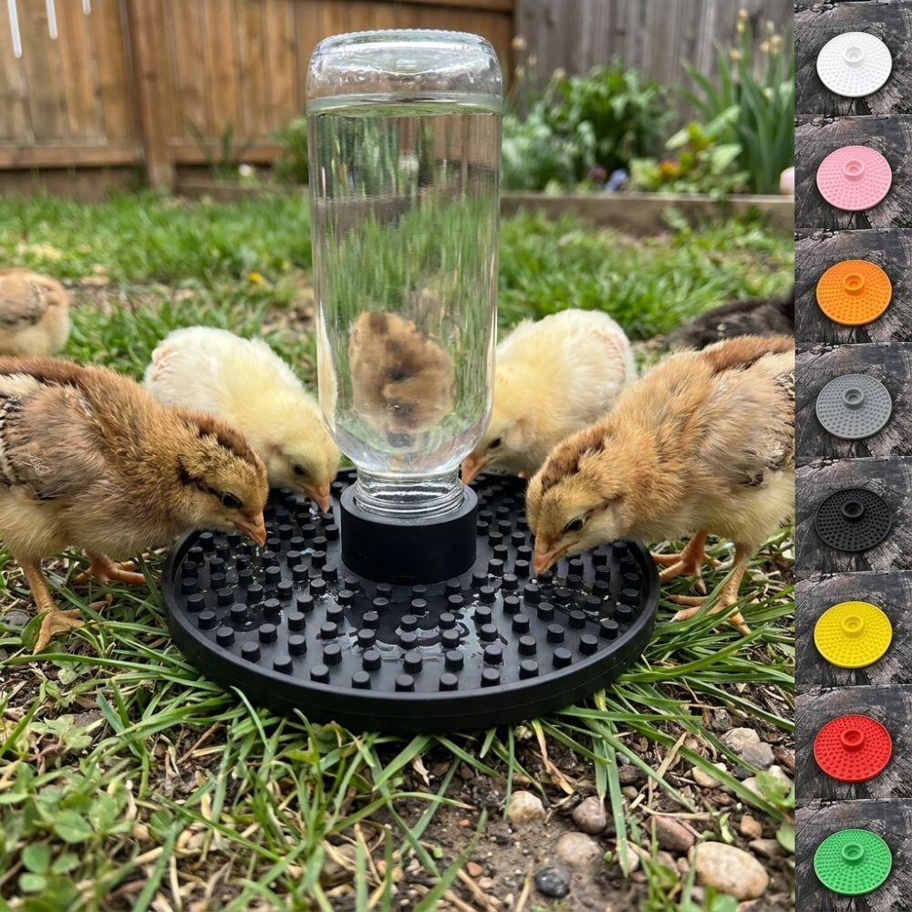 Multi-Hole Chicks Automatic Drinking Tray Plastic Bee Water Dispenser Home Balcony