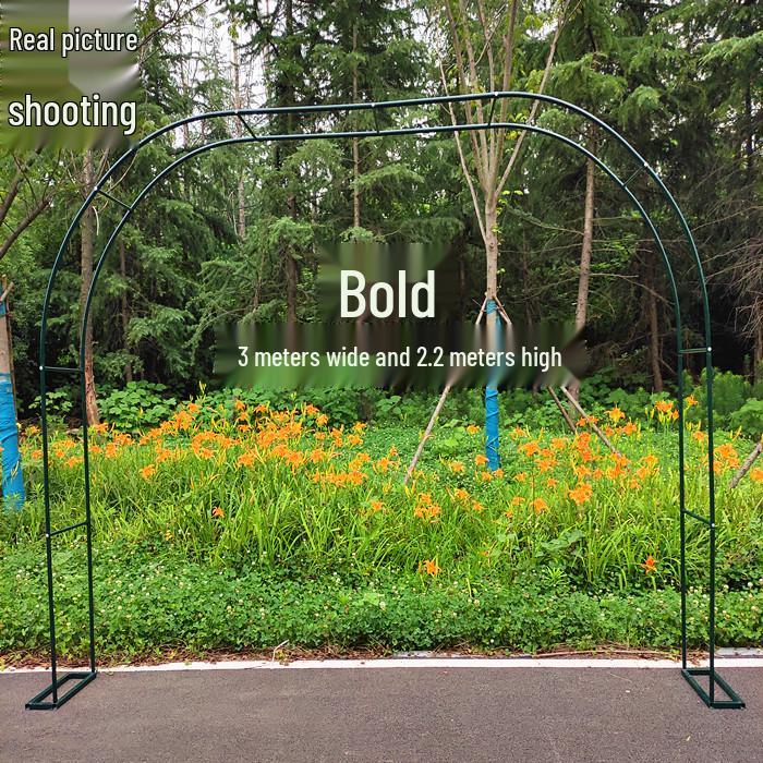 Junran European Style Courtyard Trellis for Climbing Plants and Roses