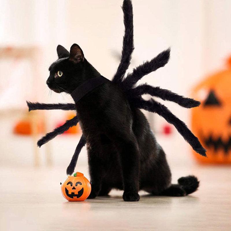 Pet Halloween Costume Dog Cosplay Spider Costume Dog Spider Harness Dog Costume