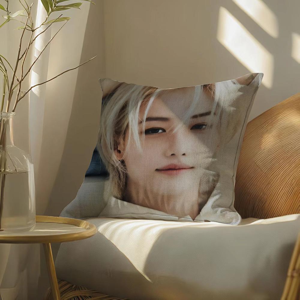 S-Strayskidssf-Felixs Pillow Case Pillowcase, Double-Sided Printed, Sofa Cushion, Bedroom Headboard