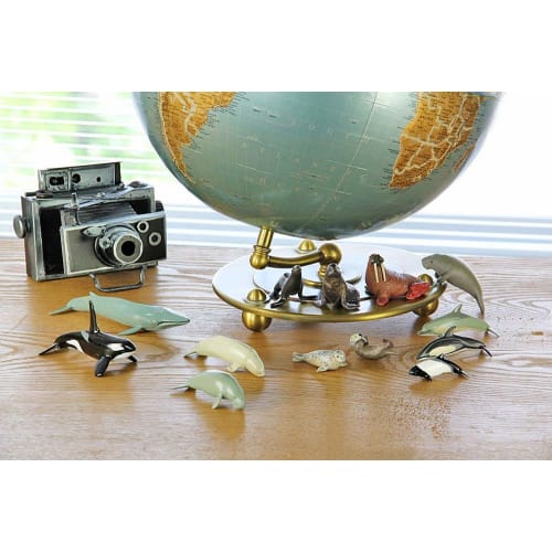 Calorata 3D Marine Creatures Encyclopedia (Whales, Dolphins, Sea Otters / 13 Species / Includes Instructions) Realistic Figures (Educational Toy) Birt