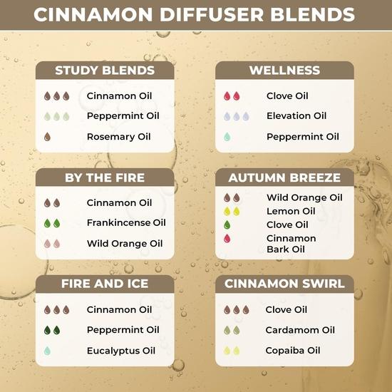 100% Plant Based Cinnamon Oil for Aromatherapy & Diffusers | Dalchini Air Freshener Oil | Pure Cinnamon Essential Oil for Home Fragrance Diffuser