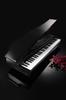 KORG MICROPIANO Micro Piano Mini Keyboard 61 Keys Black 61 Demo Songs Automatically Playable Built-in