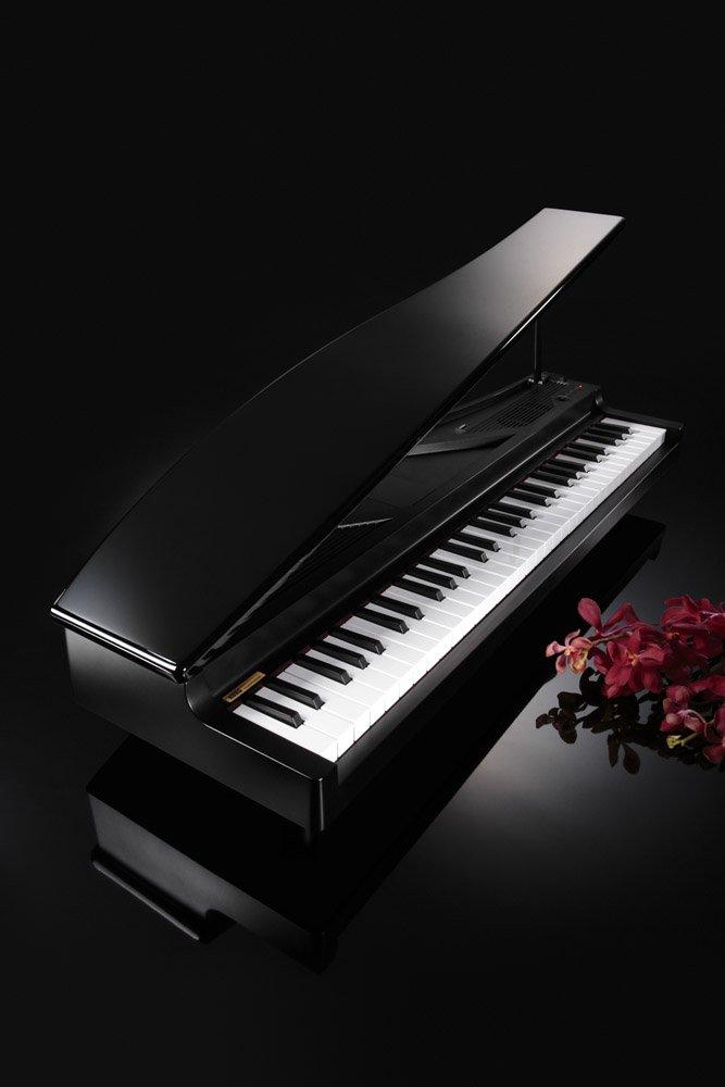 KORG MICROPIANO Micro Piano Mini Keyboard 61 Keys Black 61 Demo Songs Automatically Playable Built-in