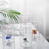 Tazza da Acqua Animale Trasparente in Vetro Borosilicato Resistente alle Alte Temperature per Uso Domestico, Cartoon, di Alto Valore