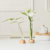 Test Tube Vase Glass Hydroponic Vase with Wooden Stand Desktop Transparent Tube Vase for Plants And Cut Flowers Flower Arrangement