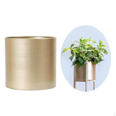 Vaso de flores dourado Phalaenopsis Blessing Buckets 23cm Container Planter Lucky Vaso para decoração de casa