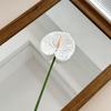 Fiore Artificiale Anthurium Rosso Flamingo Stampato in 3D per Matrimoni e Arredamento Casa