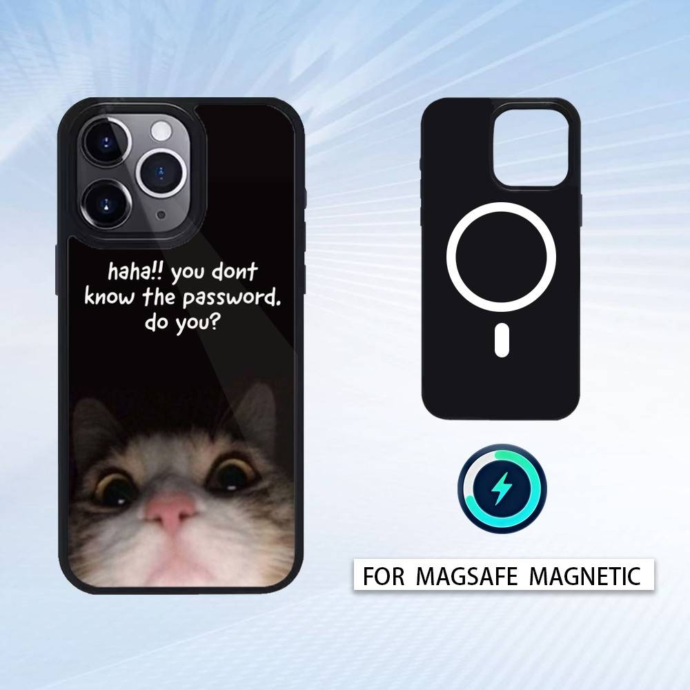 1PC Dont Touch My Phone Phone Case For iPhone 17,16,15,14,13,12,Pro,Max For Magsafe Magnetic Wireless Charging
