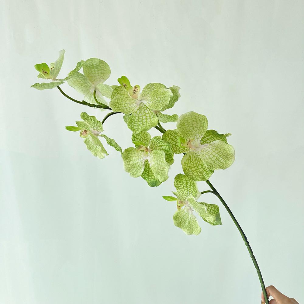 Schmetterlingsorchidee Seidenblumen Dekoration für Zuhause Hotel Lounge Auslage