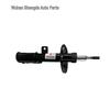 Citroen DS5 DS6 Shock Absorber (Part Numbers: 9678530480, 9807719780, 9678530580)