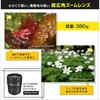 Nikon Super Wide Angle Zoom Lens AF-S NIKKOR 18-35mm F/3.5-4.5g ED Full Size Compatible