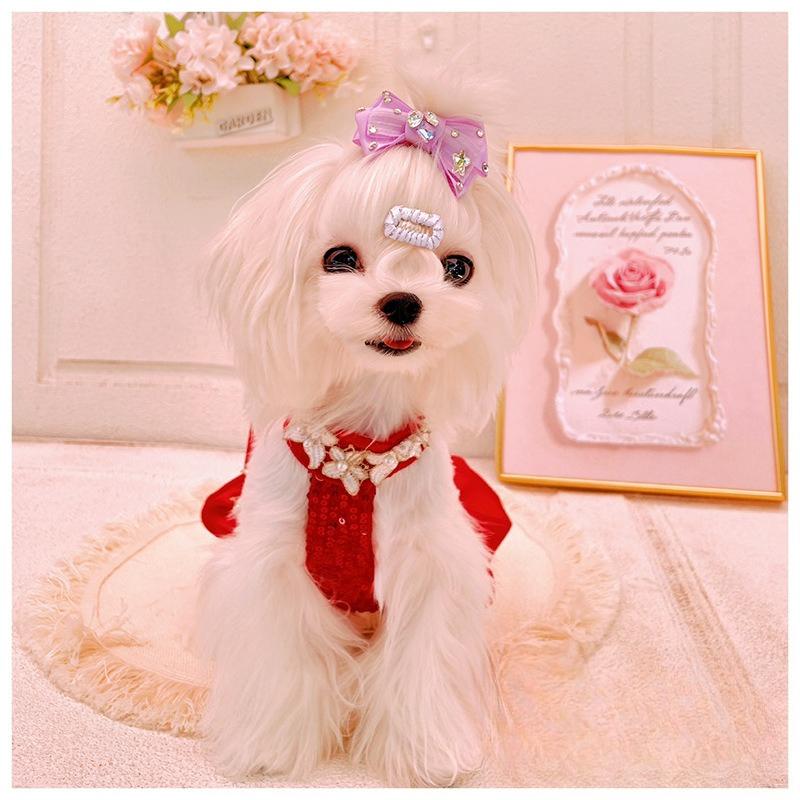 Pet Autumn/Winter Christmas Dress Pet Princess Dress Wedding Dress Yorkshire New Year Teddy Coat Dog Clothes for Small Dogs