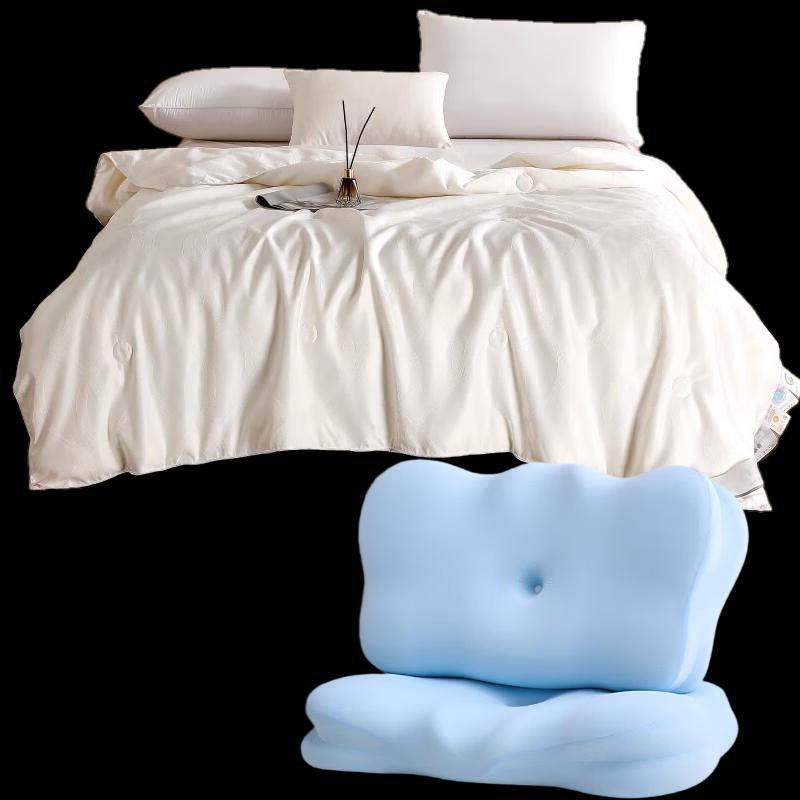 Fangwang Chenmeng Silk Duvet & Memory Foam Pillow Set