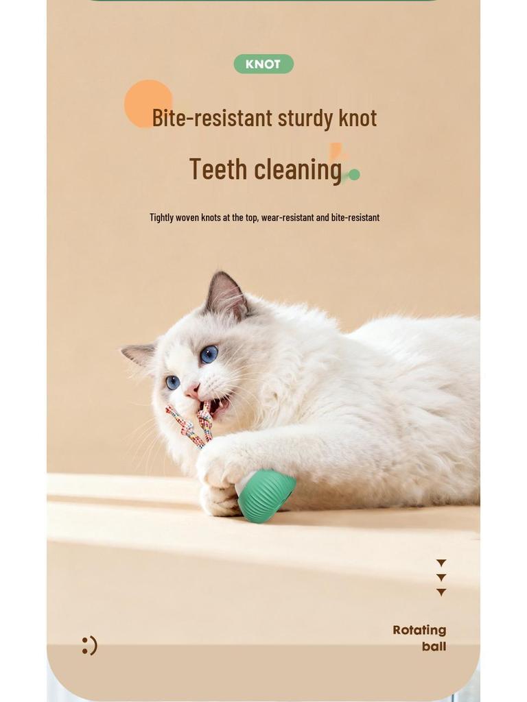 Automatic Rotating Cat Toy: Teasing Ball & Rope Knot Set for Self-Play and Boredom Relief