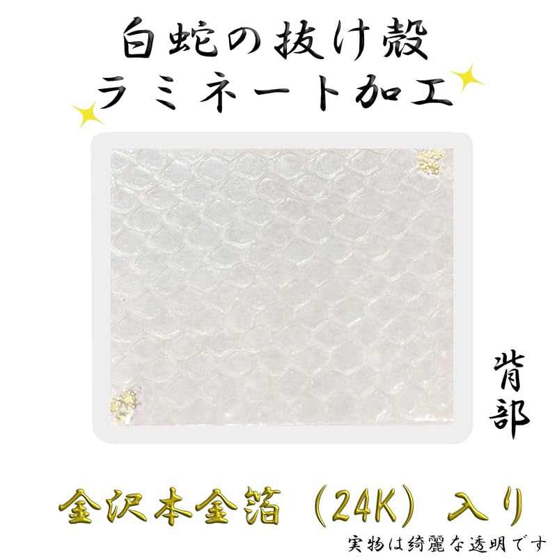 Luxurious White Snake Shell (Back - Kanazawa Gold Leaf) Laminated - Good Luck & Charm / Shrine Prayer Preserved / Clear Type (Transparent) - Premium