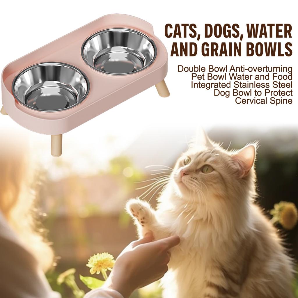 Stainless Steel Anti-Slip Cervical Protect Dual Bowl Pet Food Feeder for Cats and Dogs with Elevated Design