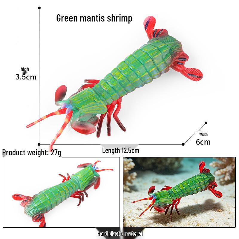 Ocean Crab Simulation Toy Set: Includes Hermit, Swimming, and Three-Spot Plastic Models