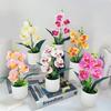 5 Plantas Simuladas de Phalaenopsis en Maceta para Decoración de Hogar y Oficina Plantas Pequeñas en Maceta Falso Bonsái Plantas Verdes